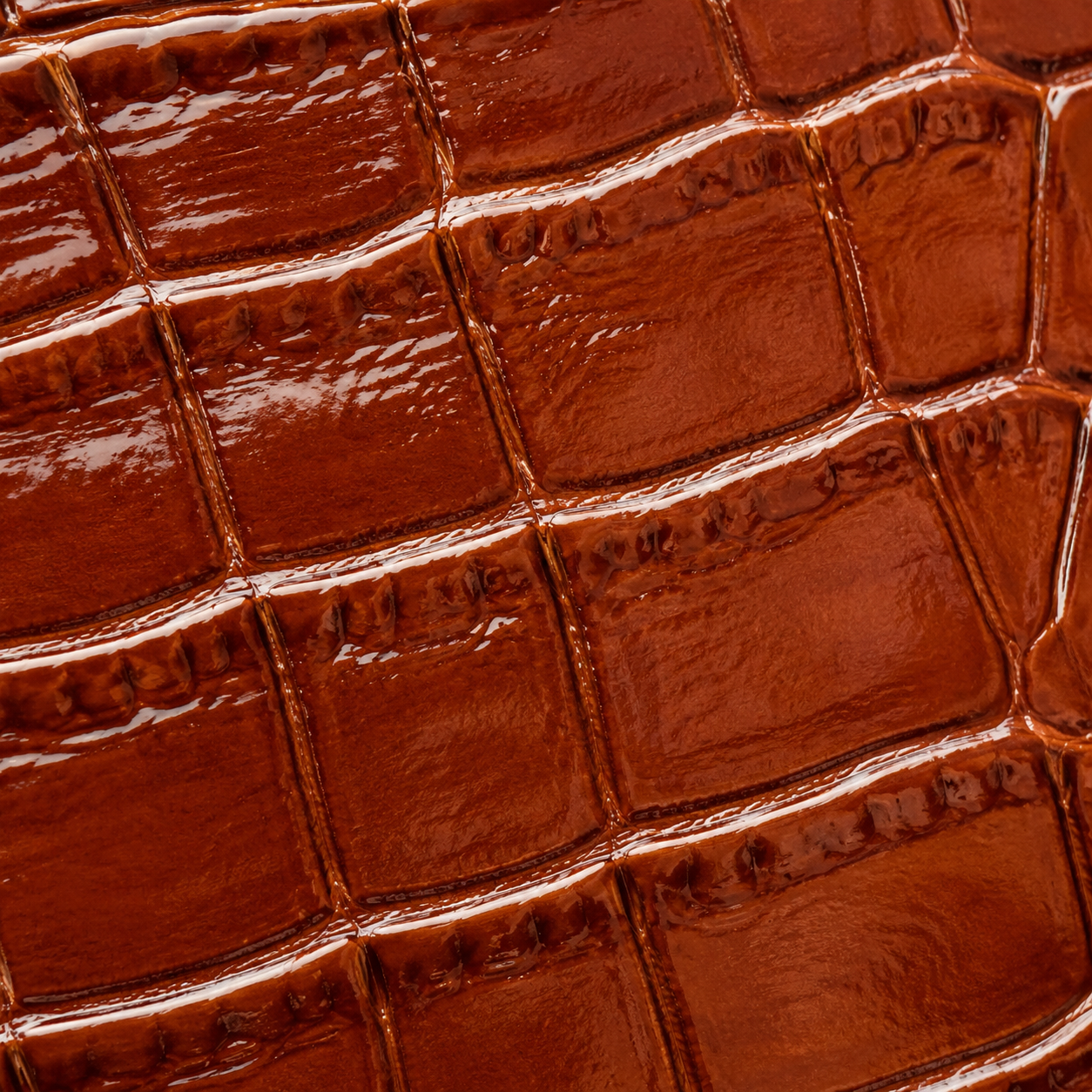Gray Closet Croco Card Holder — Cognac